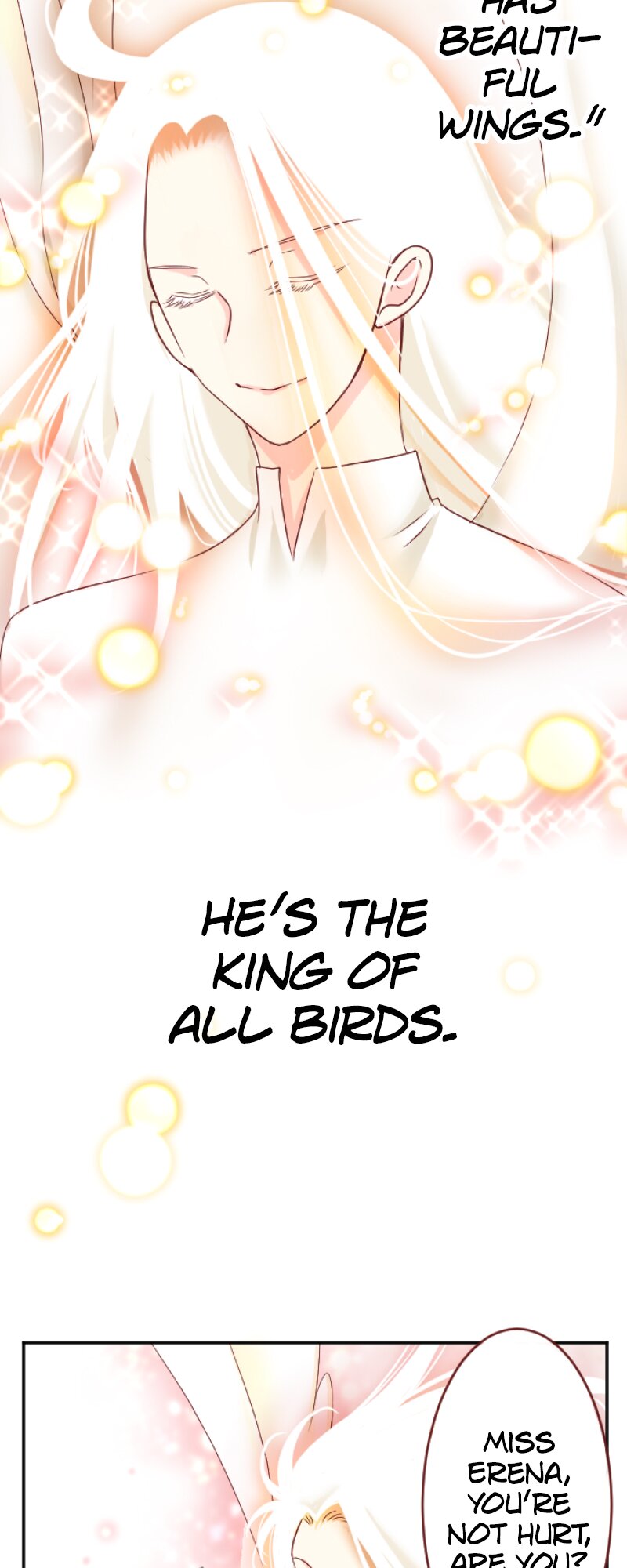 55536568 800 2000 146674